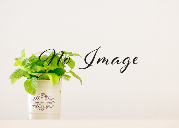 ２月キャンペーン【耳つぼ、ヘッド】